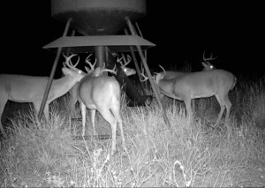 night group game cam1 cropped           